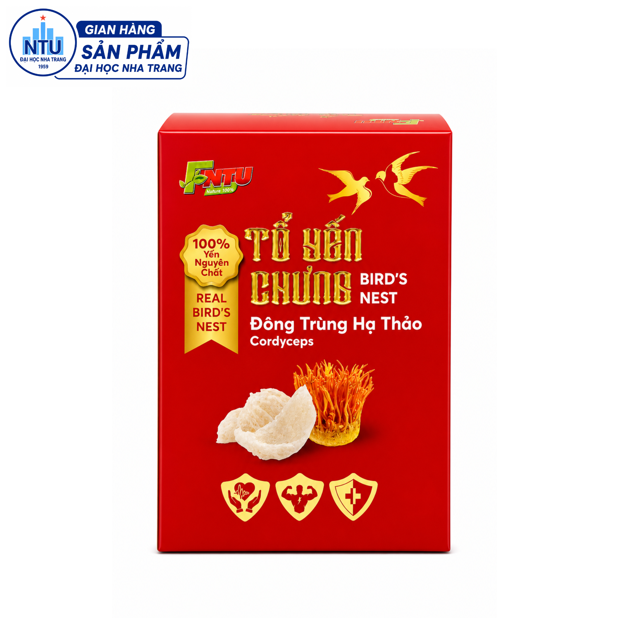TỔ YẾN CHƯNG ĐÔNG TRÙNG HẠ THẢO - HỘP 1 HŨ