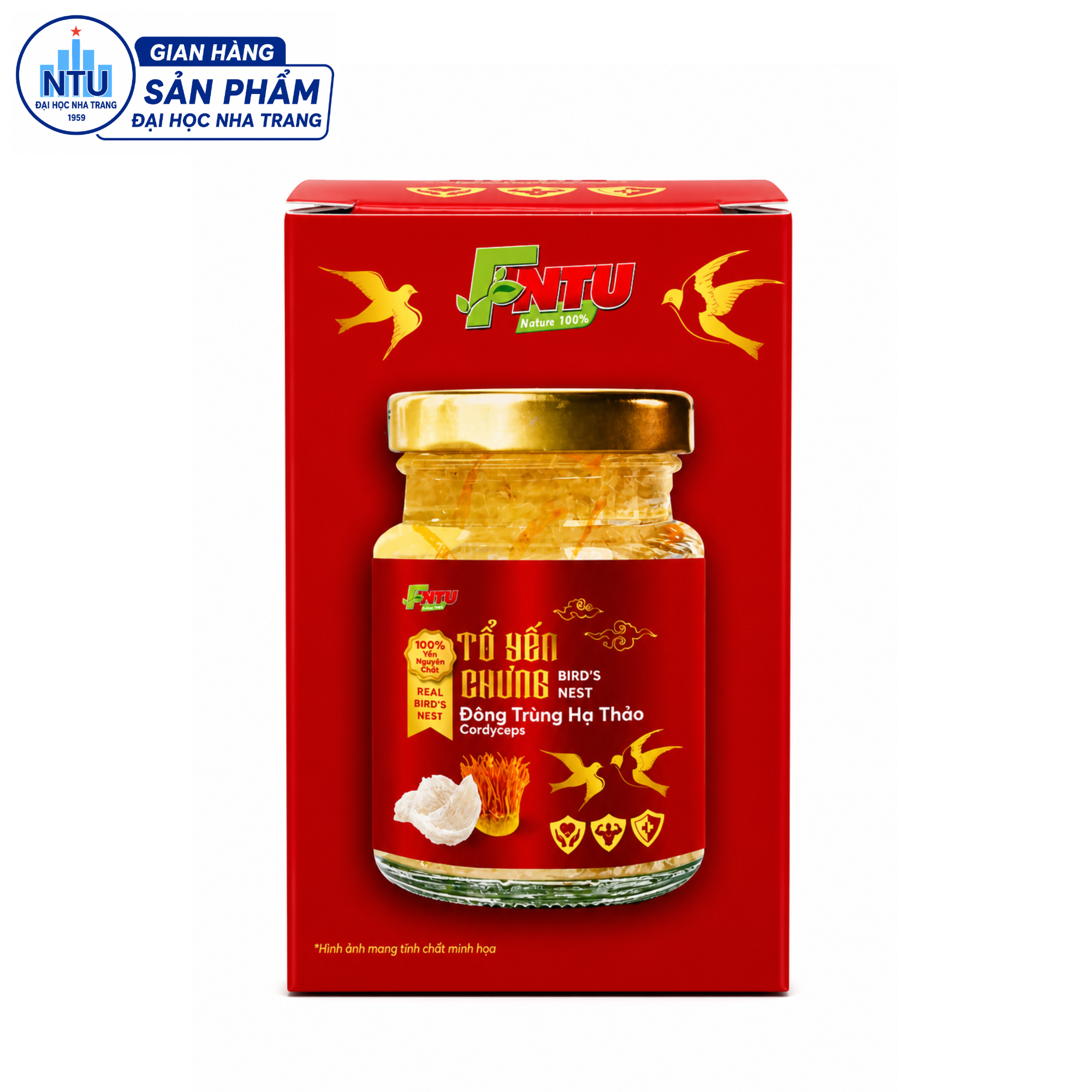 TỔ YẾN CHƯNG ĐÔNG TRÙNG HẠ THẢO - HỘP 1 HŨ
