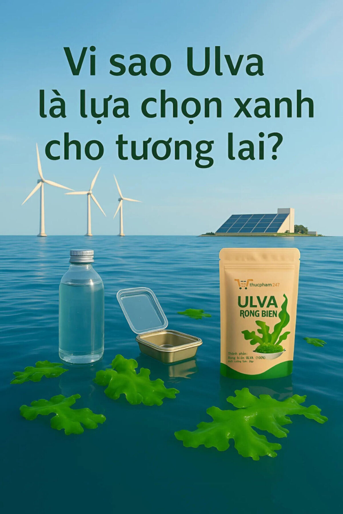 🌿 Vì sao Ulva là lựa chọn xanh cho tương lai?