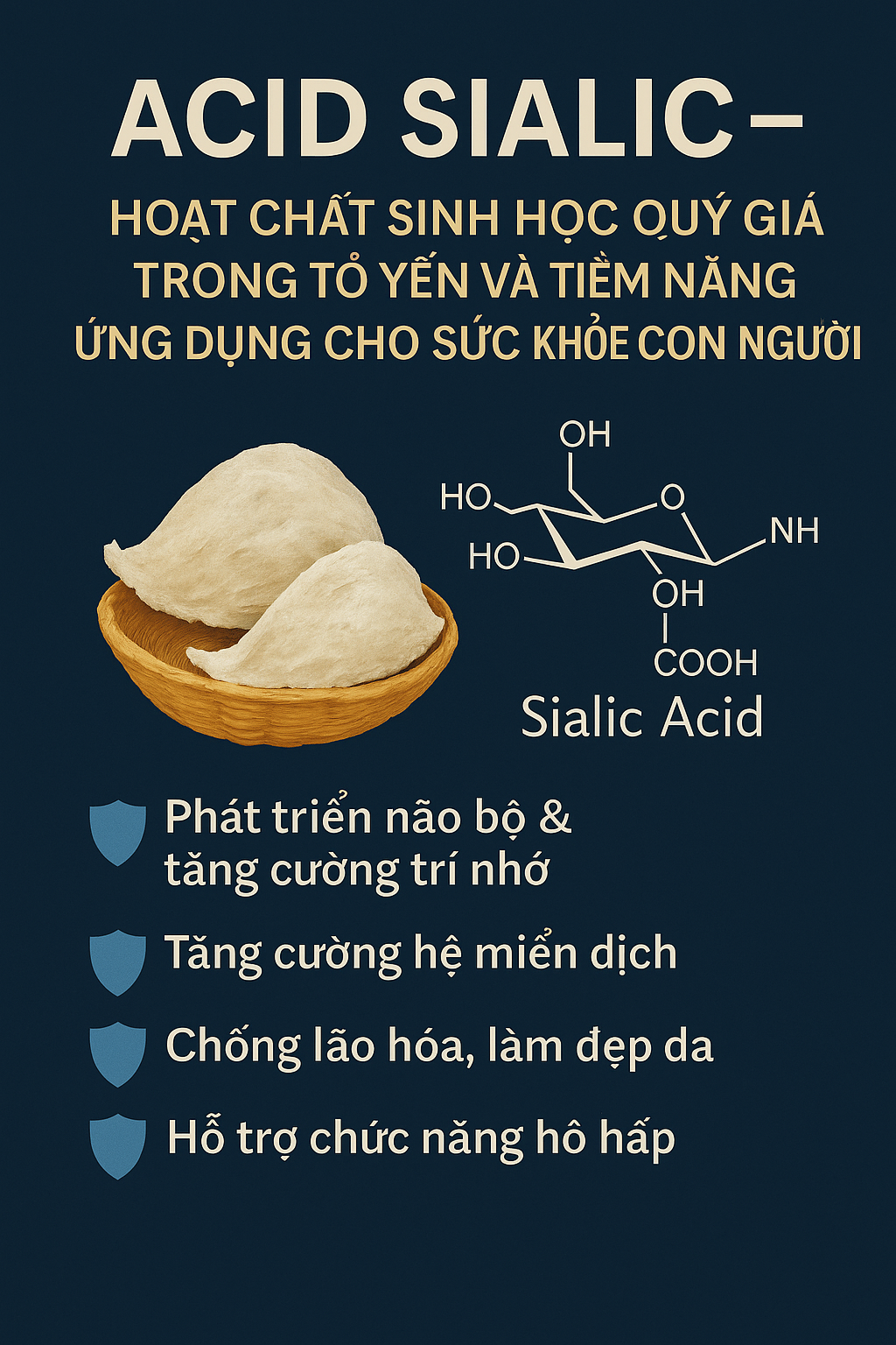 Acid Sialic – Hoạt chất sinh học quý giá trong tổ yến và tiềm năng ứng dụng cho sức khỏe con người