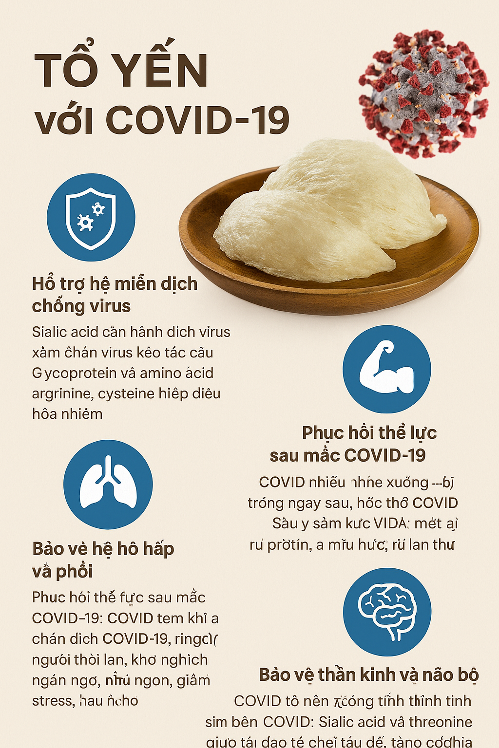Tổ Yến – Dưỡng Chất Vàng Cho Người Hậu COVID