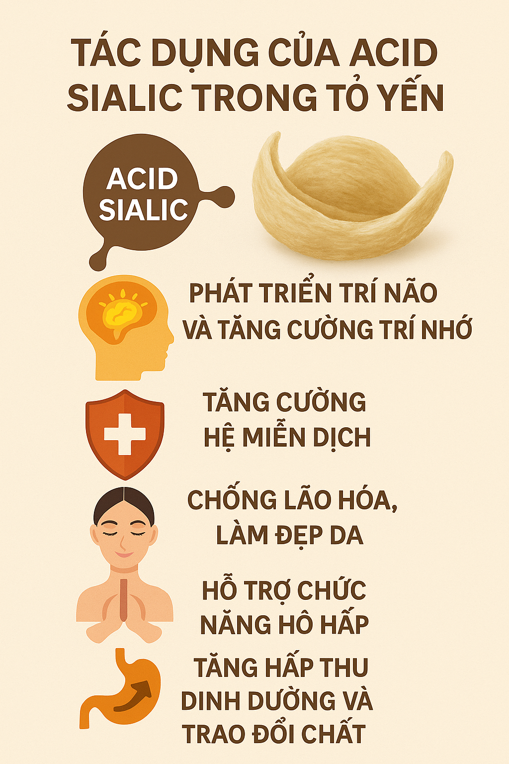 Những tác dụng cần phải biết của Acid Sialic trong tổ yến!!!