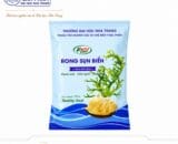 Rong sụn biển Đại học Nha Trang [Đại học Nha Trang]