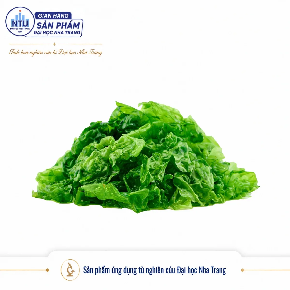RONG BIỂN SẤY LẠNH HEALTHY [Đại học Nha Trang]