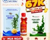 COMBO RONG BIỂN HEALTHY 67K | Rong Biển Sấy Lạnh + Rong Sụn Biển Tặng Dầu Cá Hồi Omega-3 [Đại học Nha Trang]