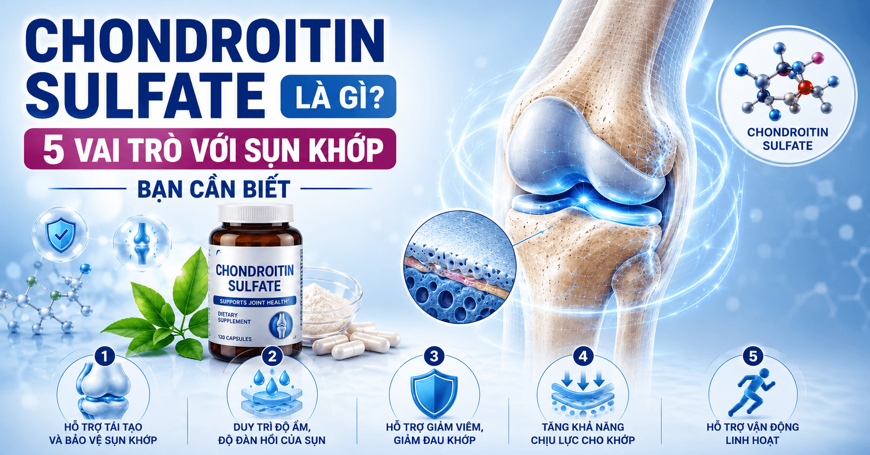 Chondroitin Sulfate Là Gì? 5 Vai Trò Với Sụn Khớp Bạn Cần Biết