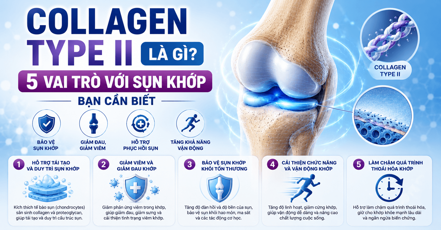 Collagen Type II Là Gì? 5 Vai Trò Với Sụn Khớp Bạn Cần Biết