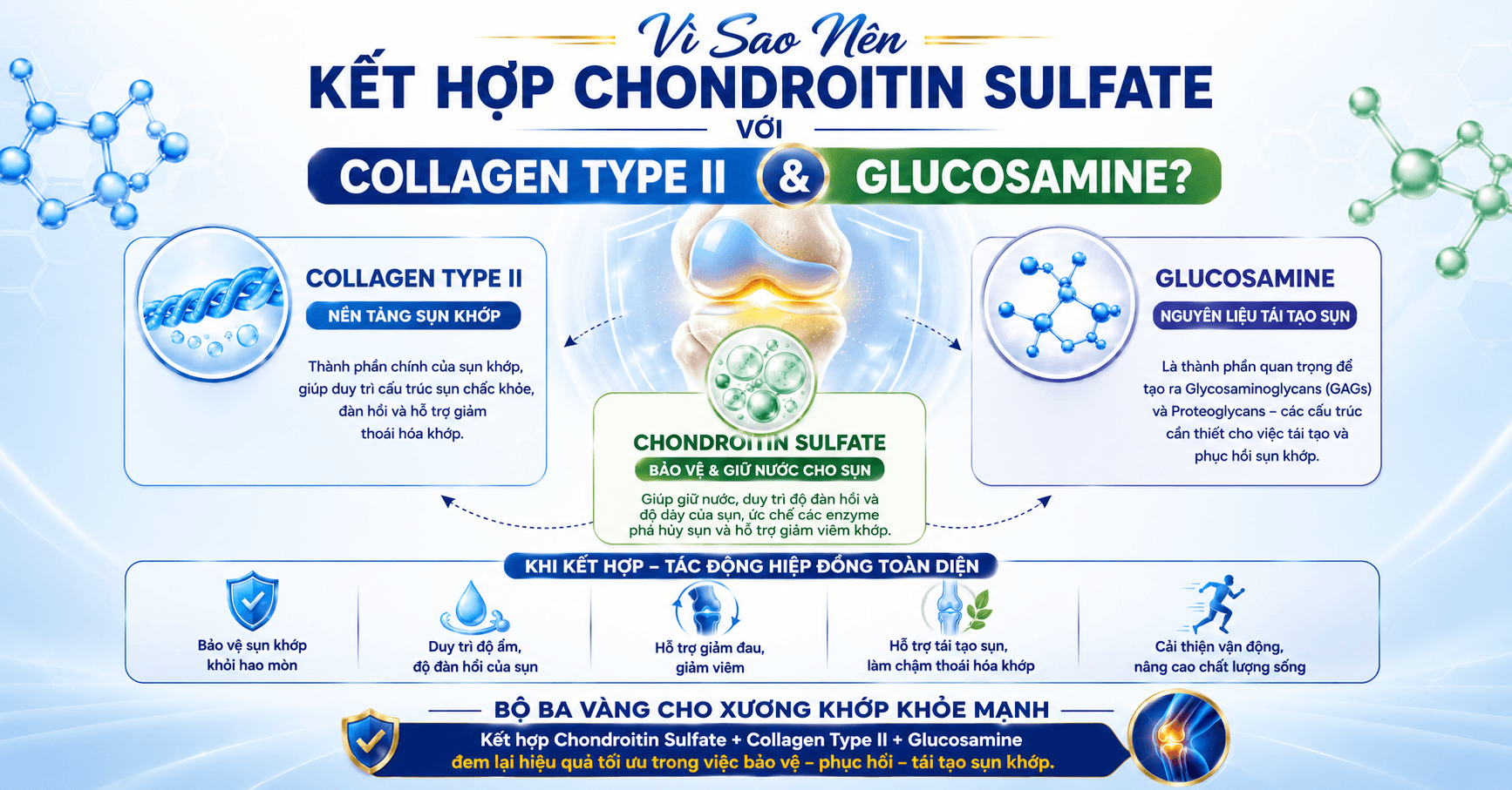 Vì Sao Nên Kết Hợp Chondroitin Sulfate Với Collagen Type II & Glucosamine?