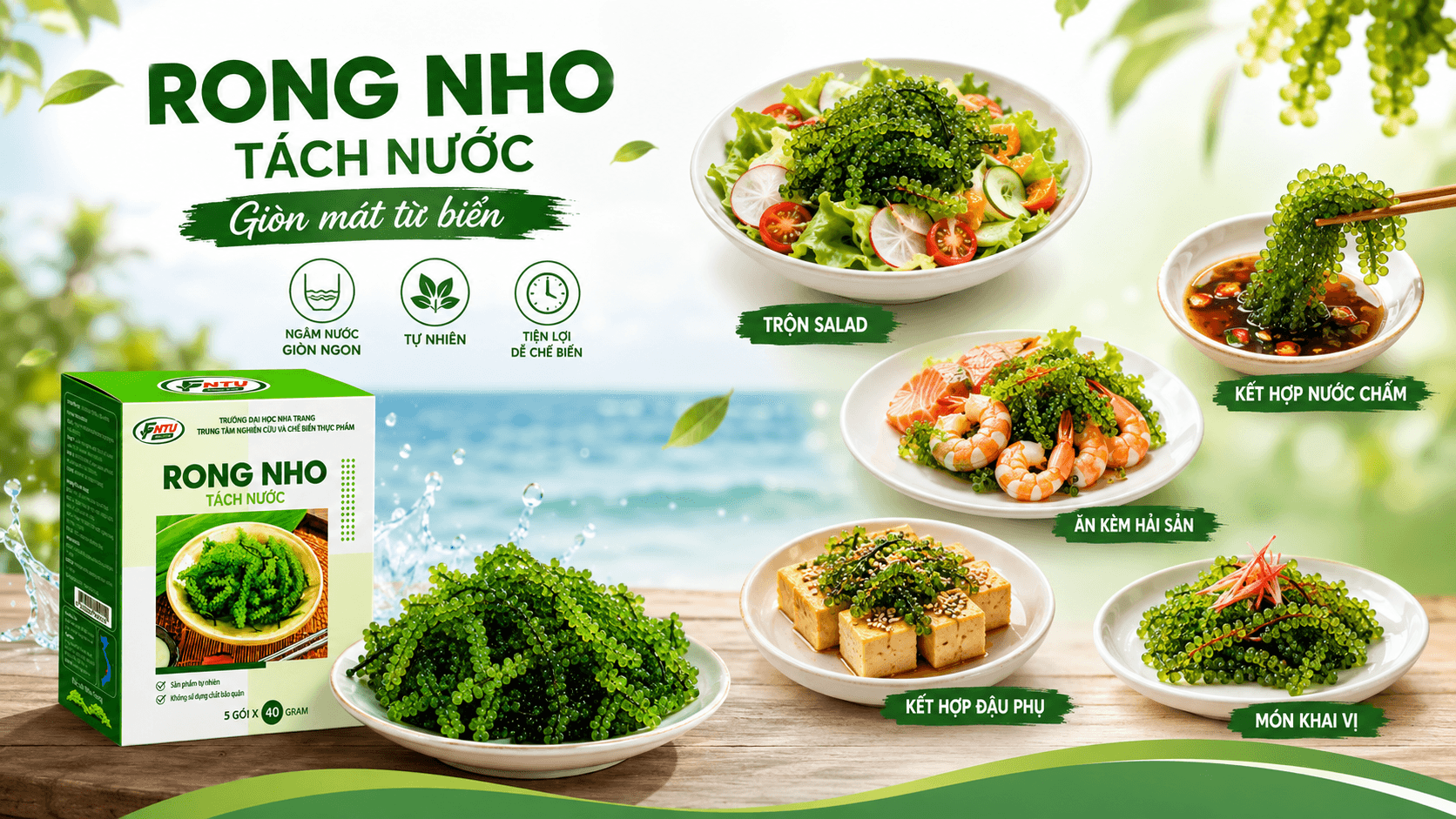 Rong Nho Tách Nước- Giòn mát từ biển, tiện lợi cho bữa ăn hiện đại!