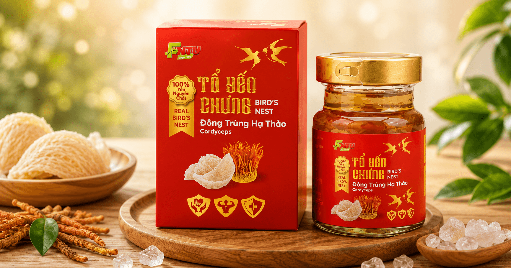 Tổ Yến Chưng Đông Trùng Hạ Thảo: “Bộ Đôi” Dưỡng Dục Phục Hồi Sức Khỏe Nhanh
