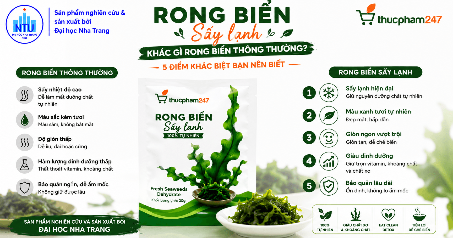 Rong Biển Sấy Lạnh Khác Gì Rong Biển Thông Thường? 5 Điểm Khác Biệt Bạn Nên Biết