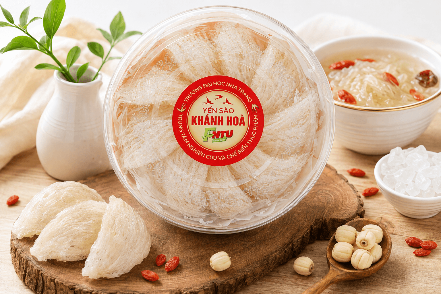 Tổ Yến Là Gì? Giá Trị Dinh Dưỡng Và Những Điều Cần Biết Trước Khi Mua
