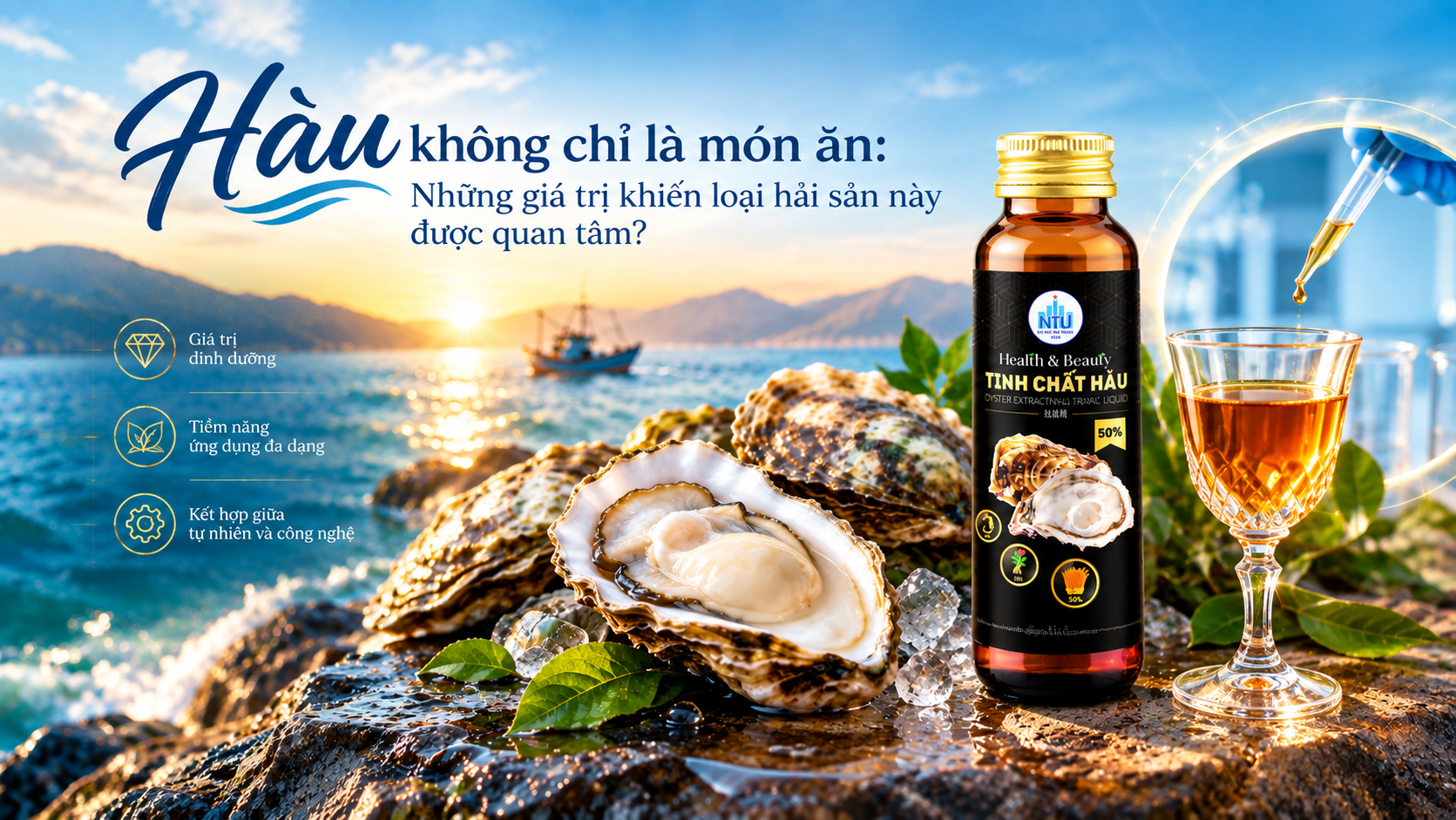 Hàu không chỉ là một món ăn: Những giá trị khiến loại hải sản này được quan tâm?